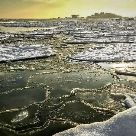 Primavera In アパート ハンコ